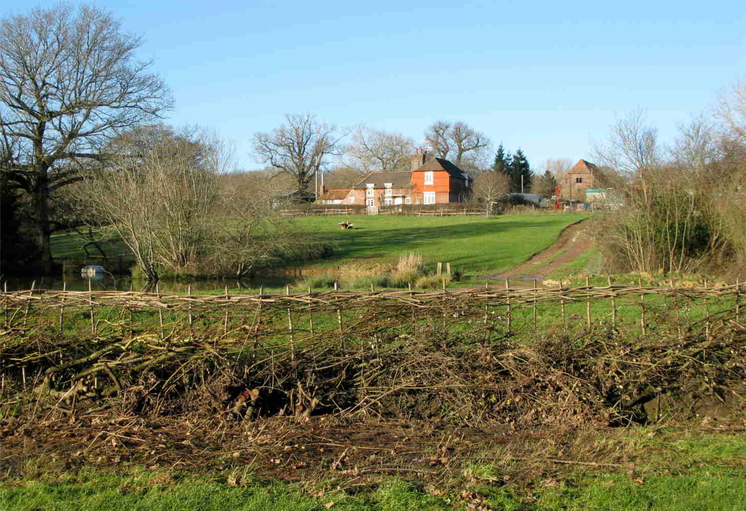 Farmhouse from the lake with hedge laying in front
