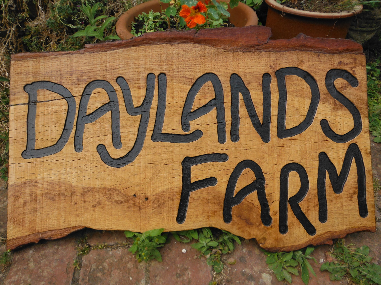 Wooden carved Daylands Farm sign